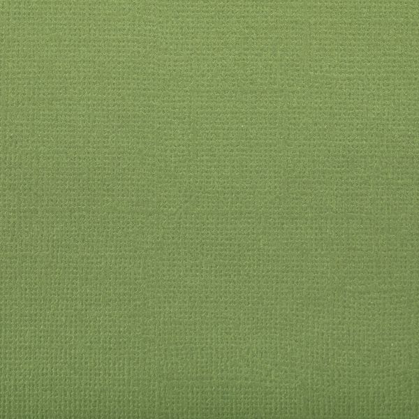 Бумага для скрапбукинга 216 г/м², 30.5х30.5 см, 10 шт, 57 Морская ламинария (темн. зеленый), Mr.Painter PST