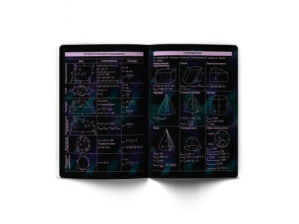Тетрадь со справочным материалом Эволюция, глянцевая ламинация, A5+ 48 л. на скобе 65 г/м², белизна 100%, 10 шт, клетка, 00879 Геометрия, Светоч 48Т5