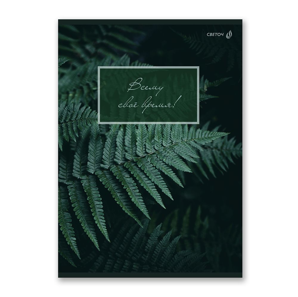 Тетрадь ученическая общая, A4 48 л. на скобе 65 г/м², белизна 100% 6 шт клетка, 01753 Малахитовая симфония, Светоч Т152