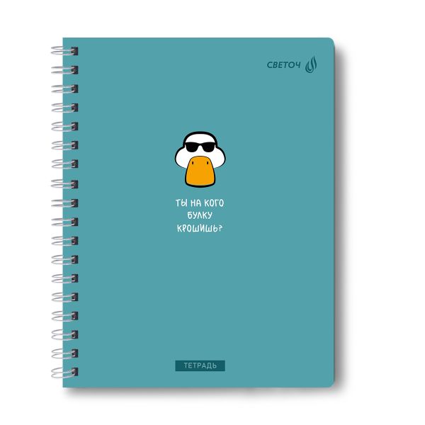 Тетрадь ученическая общая, A5 96 л. на гребне 60 г/м², белизна 90 %, 4 шт, клетка, 01184 МИКС - Тут интересно, Светоч Т111