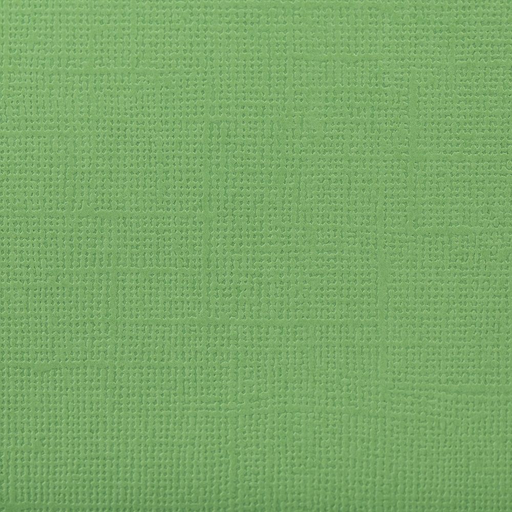 Бумага для скрапбукинга 216 г/м², 30.5х30.5 см, 10 шт, 59 Авокадо (зелёный), Mr.Painter PST