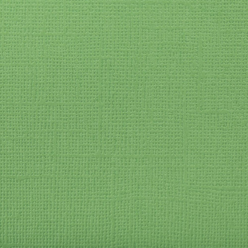 Бумага для скрапбукинга 216 г/м², 30.5х30.5 см, 10 шт, 59 Авокадо (зелёный), Mr.Painter PST