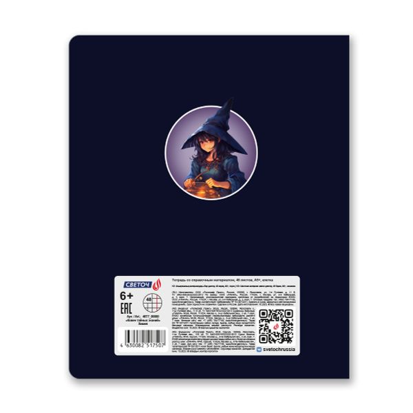 Тетрадь со справочным материалом Ковен тайных знаний, A5+ 48 л. на скобе 65 г/м², белизна 100%, 10 шт, клетка, 00860 Химия, Светоч 48Т7