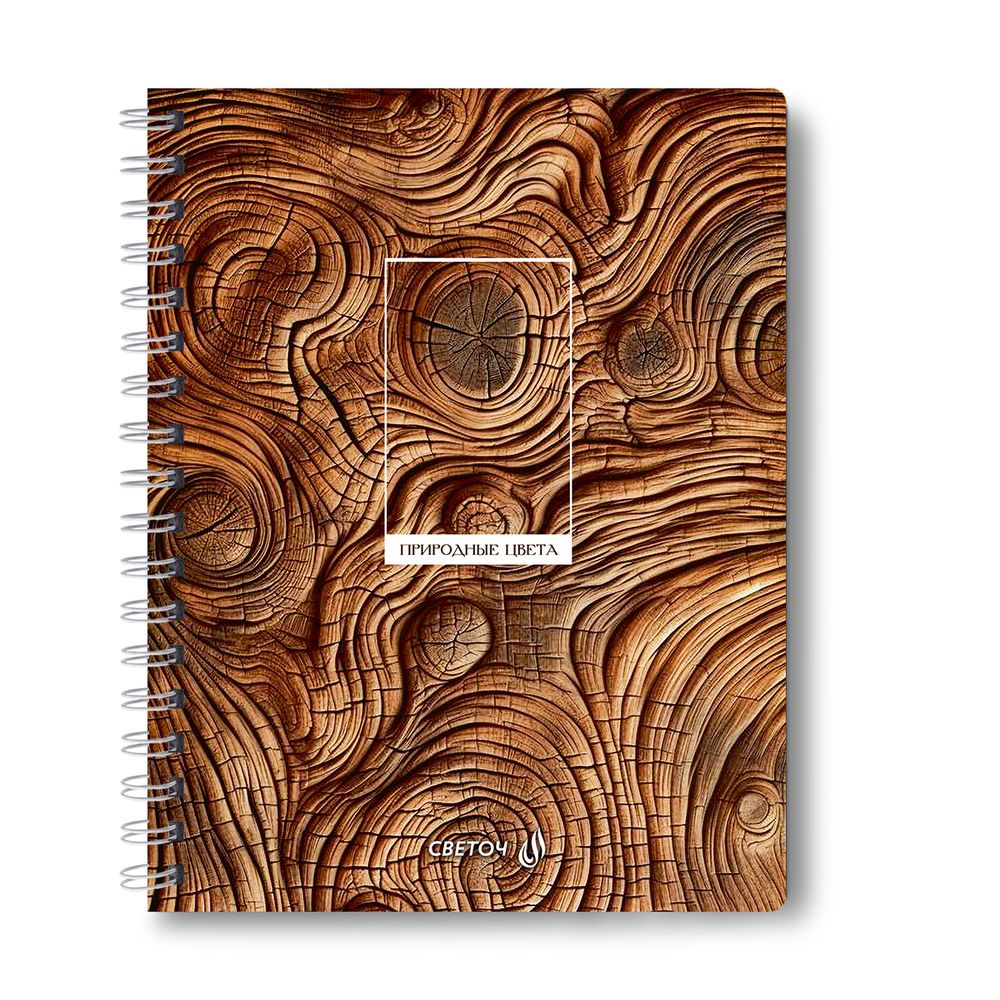 Тетрадь ученическая общая с двойной обложкой, A5 96 л. на гребне 65 г/м², белизна 100 %, 4 шт, клетка, 01209 Грани прекрасного, Светоч Т118