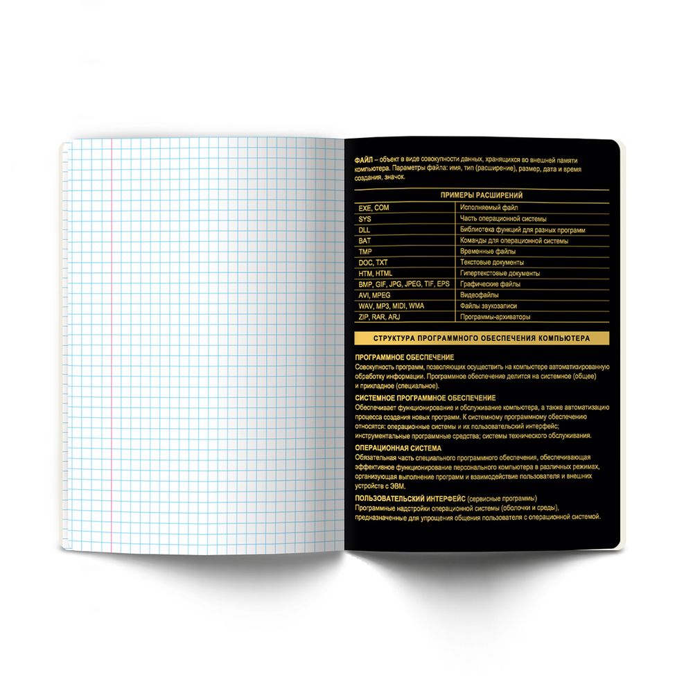 Тетрадь со справочным материалом Золотая коллекция, тиснение золотой фольгой, A5+ 48 л. на скобе 65 г/м², белизна 100 %, 10 шт, клетка, 01332 Золотая коллекция Информатика, Светоч Т145