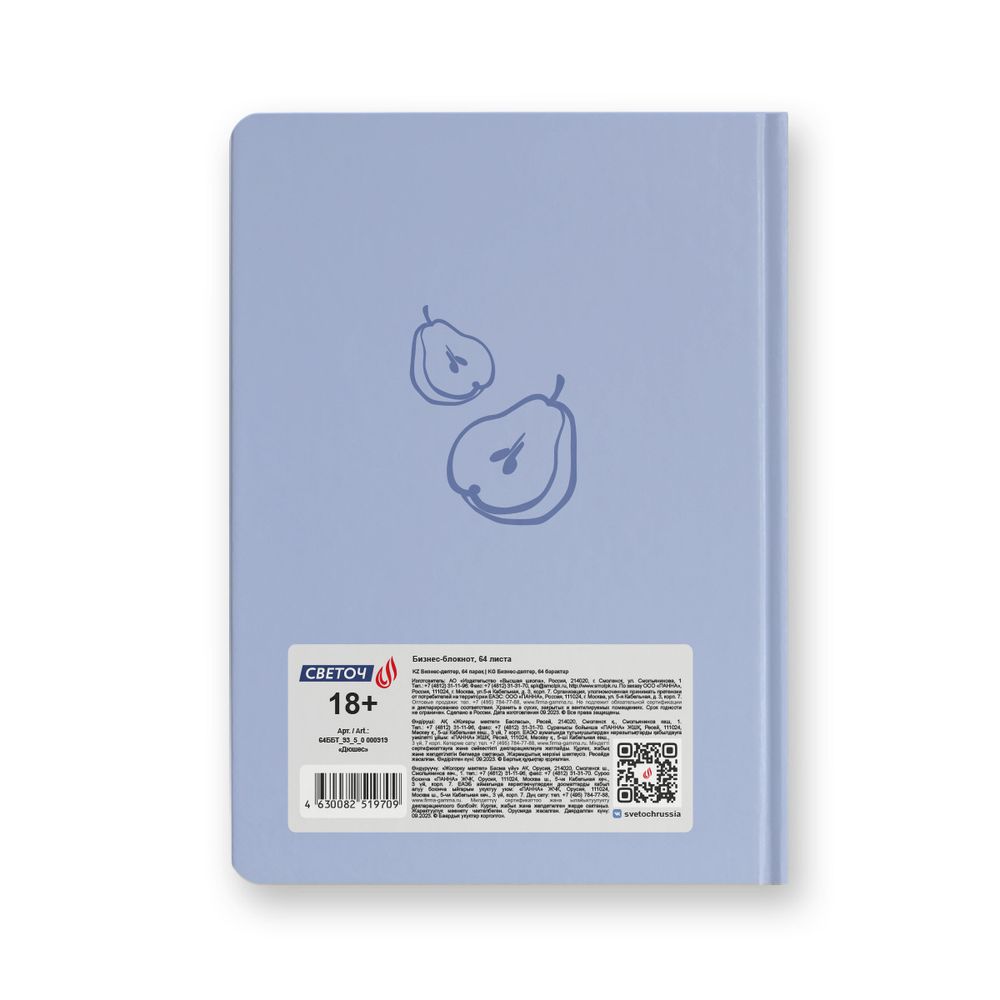 Бизнес-блокнот, мат. лам. + выбор. лак, тониров. блок, евроформат 64 л., 3 шт, французская клетка, Дюшес 000919, Светоч 64ББТ_93_5_0