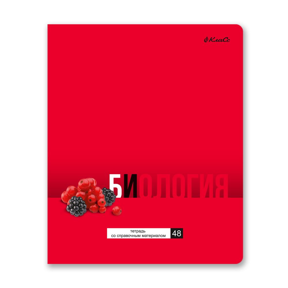 Комплект тетрадей со справочным материалом ПреКрасная, матовая ламинация + выборочный лак, A5+ 48 л. 12 шт, на скобе 65 г/м², белизна 100 %, клетка/линия, 01052 12 предметов, Светоч 48К36