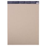 Альбом для пастели 160 г/м², A3 29.7х42 см, склейка с одной стороны 18 л. 6 цв, светлые тона, Vista-Artista PCPS-A3