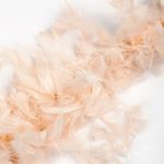 Боа из перьев 2 метра, FBY-50-122, цв.кремовый