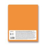 Тетрадь предметная Грызем гранит науки A5+ 48 л. на скобе, 10 шт, клетка, Геометрия 48ТСК5 000175, Светоч