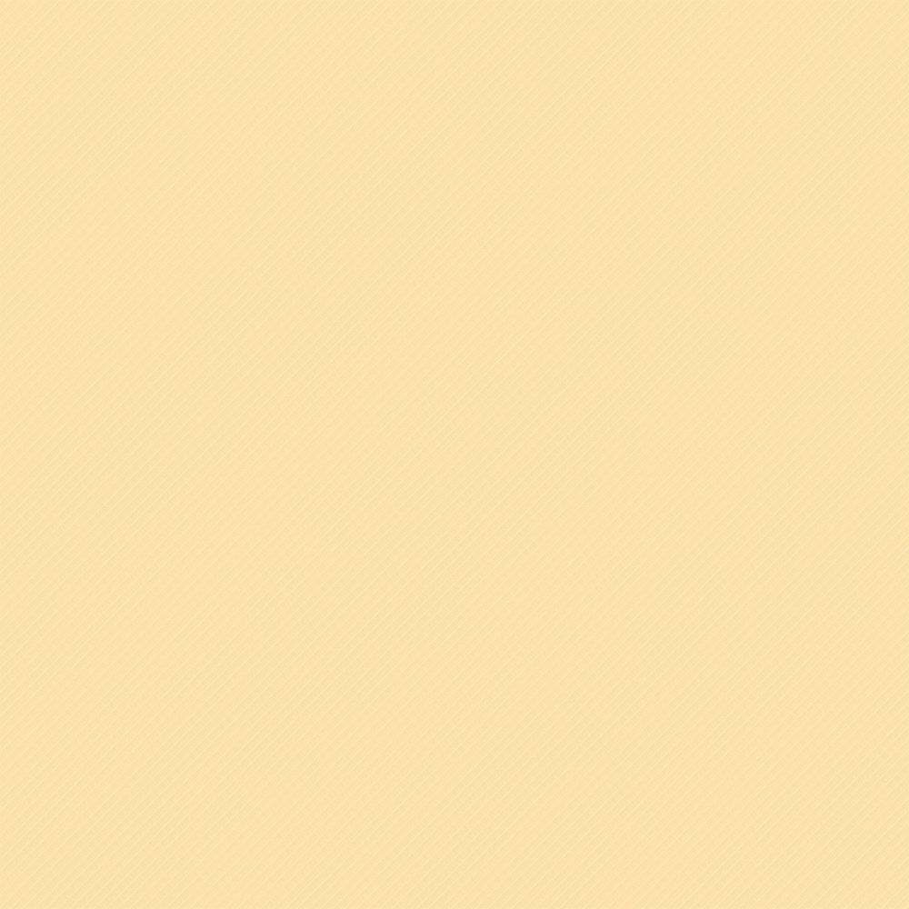 Папка-конверт на ZIP-молнии A4 180 мкм диагональ, 10 шт, ванильный EC21124030, Expert Complete EC21124030