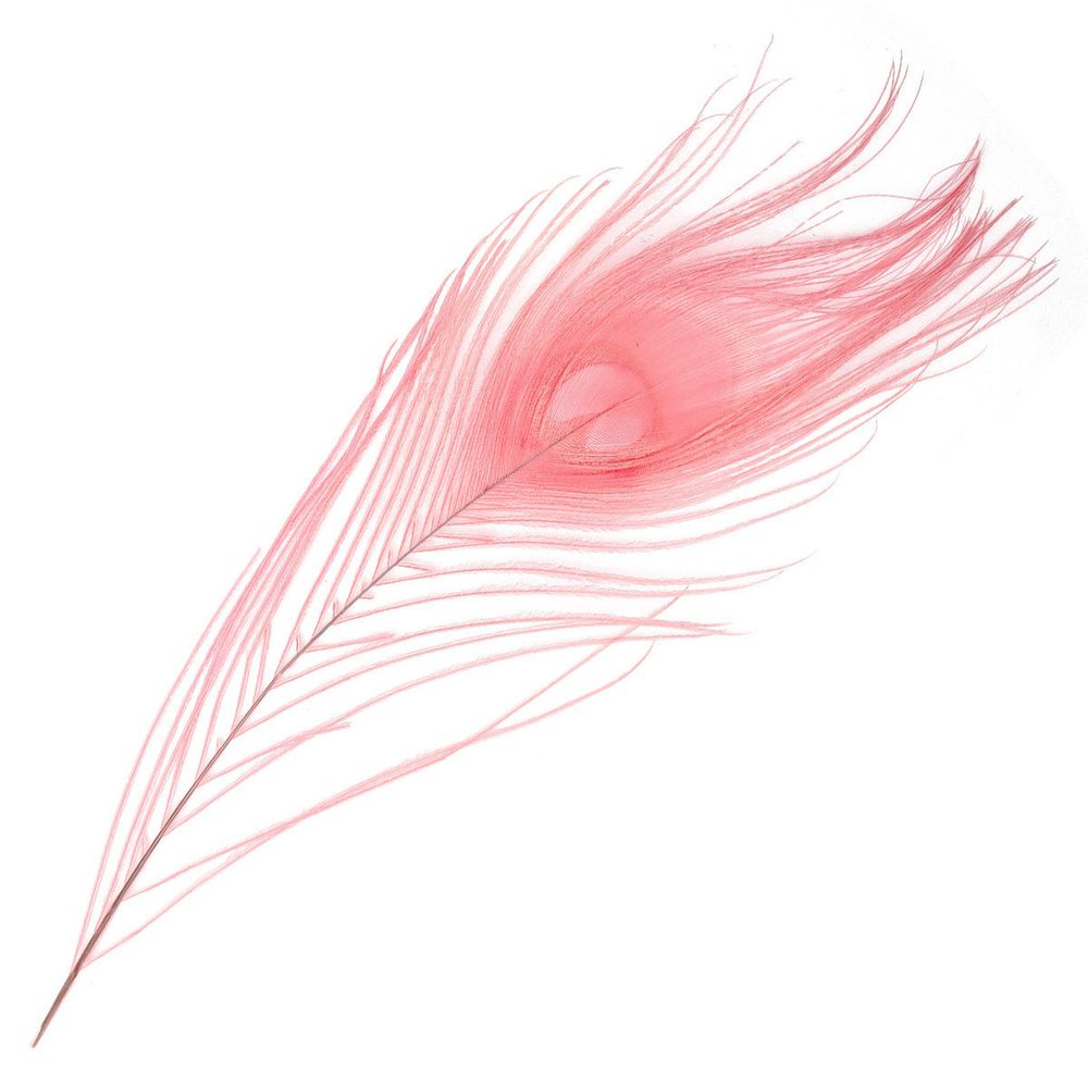 Перо павлина декоративное 25-30см, 10 штук (розовый), AR204-2