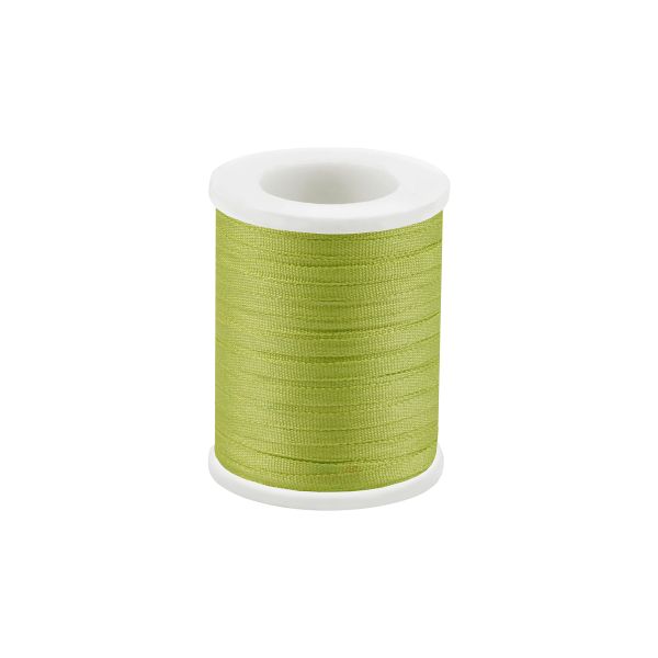 Лента (тесьма) шелковая 2.0 мм / 45.5±0.5 метров, №207 св.салатовый, Gamma SR-2