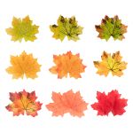 Листья декоративные 5х25 шт, MIX (клен), Blumentag ALT-01