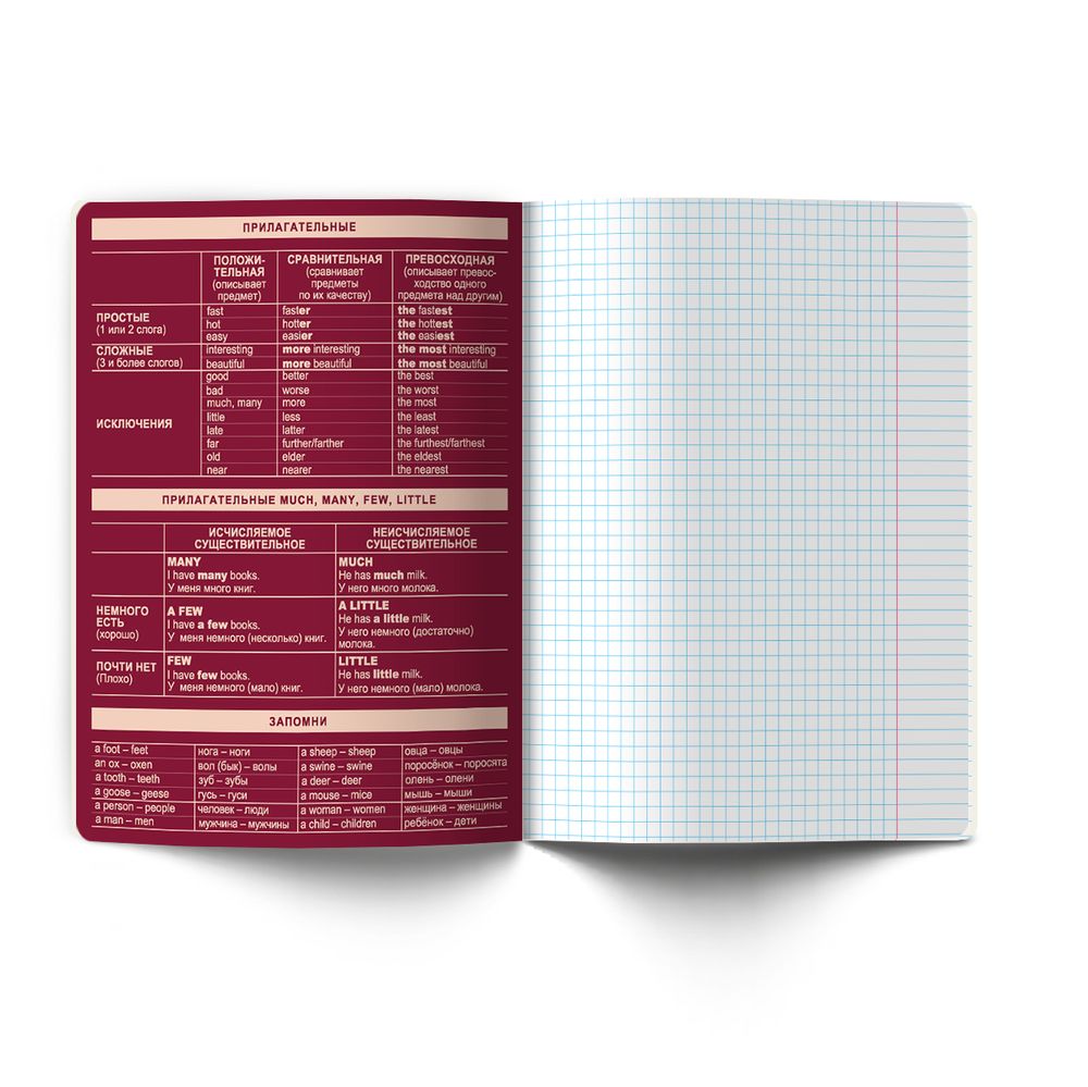 Тетрадь со справочным материалом Лёгким почерком, софт-тач ламинация, A5 48 л. на скобе 65 г/м², белизна 100% 10 шт, клетка, 01836 Лёгким почерком Английский язык, Светоч Т284