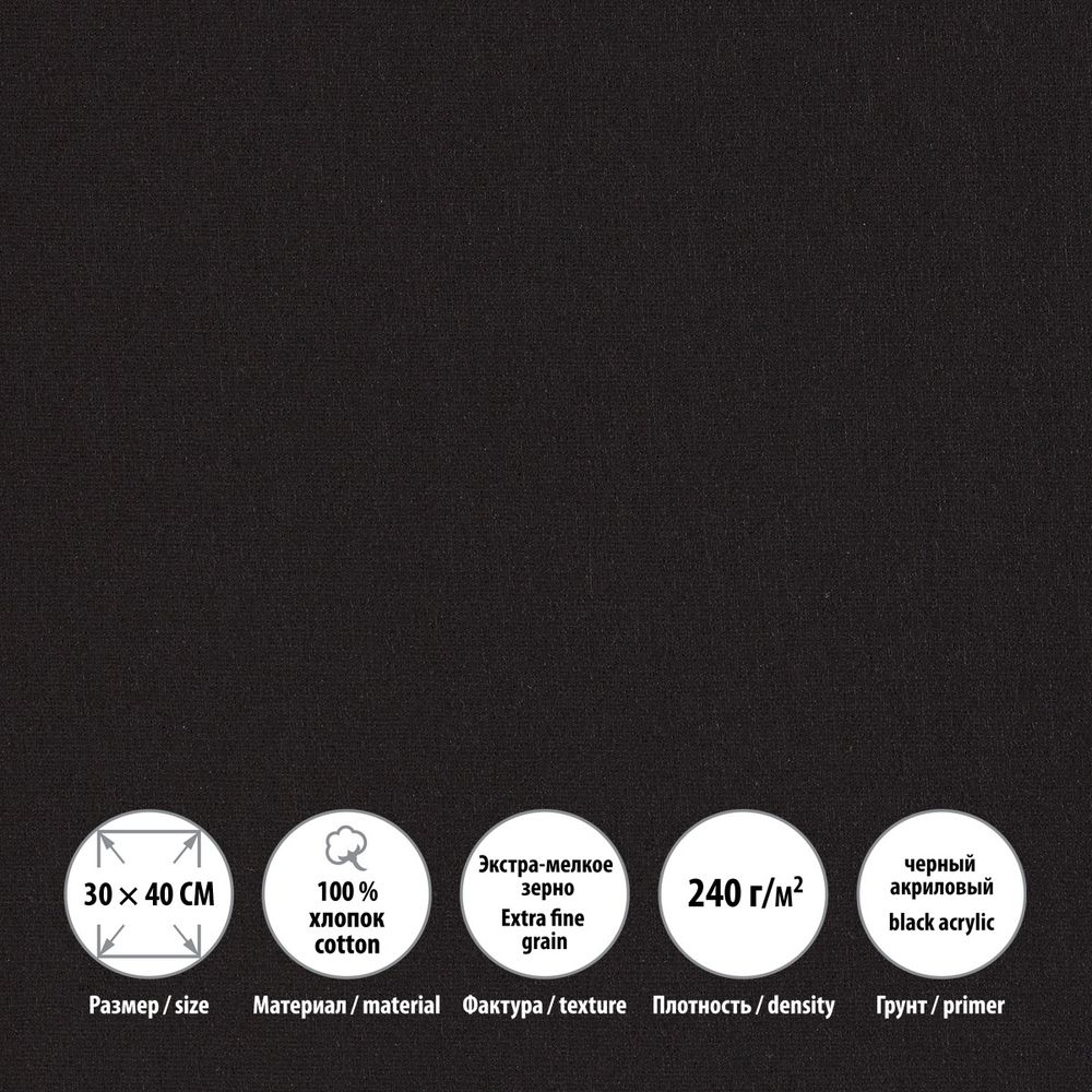 Холст грунтованный на подрамнике 30х40 см, 240 г/м², 2 шт, PERESLAVL BLACK EDITION мелкозернистый, Vista-Artista ACBF-3040
