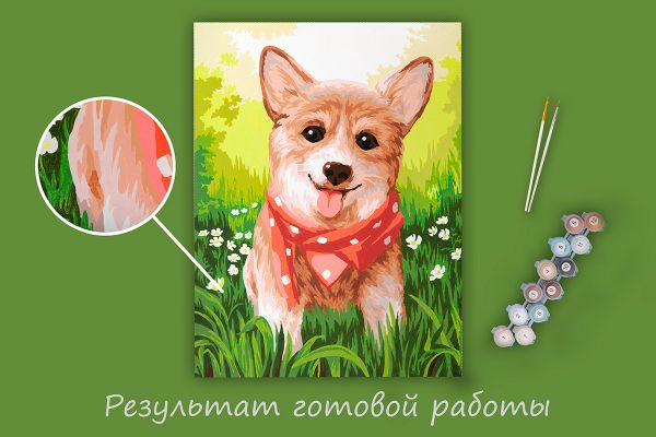 Картина по номерам Фрея PKZ/PM-058, Корги в бандане, (на картоне) 40х30 см