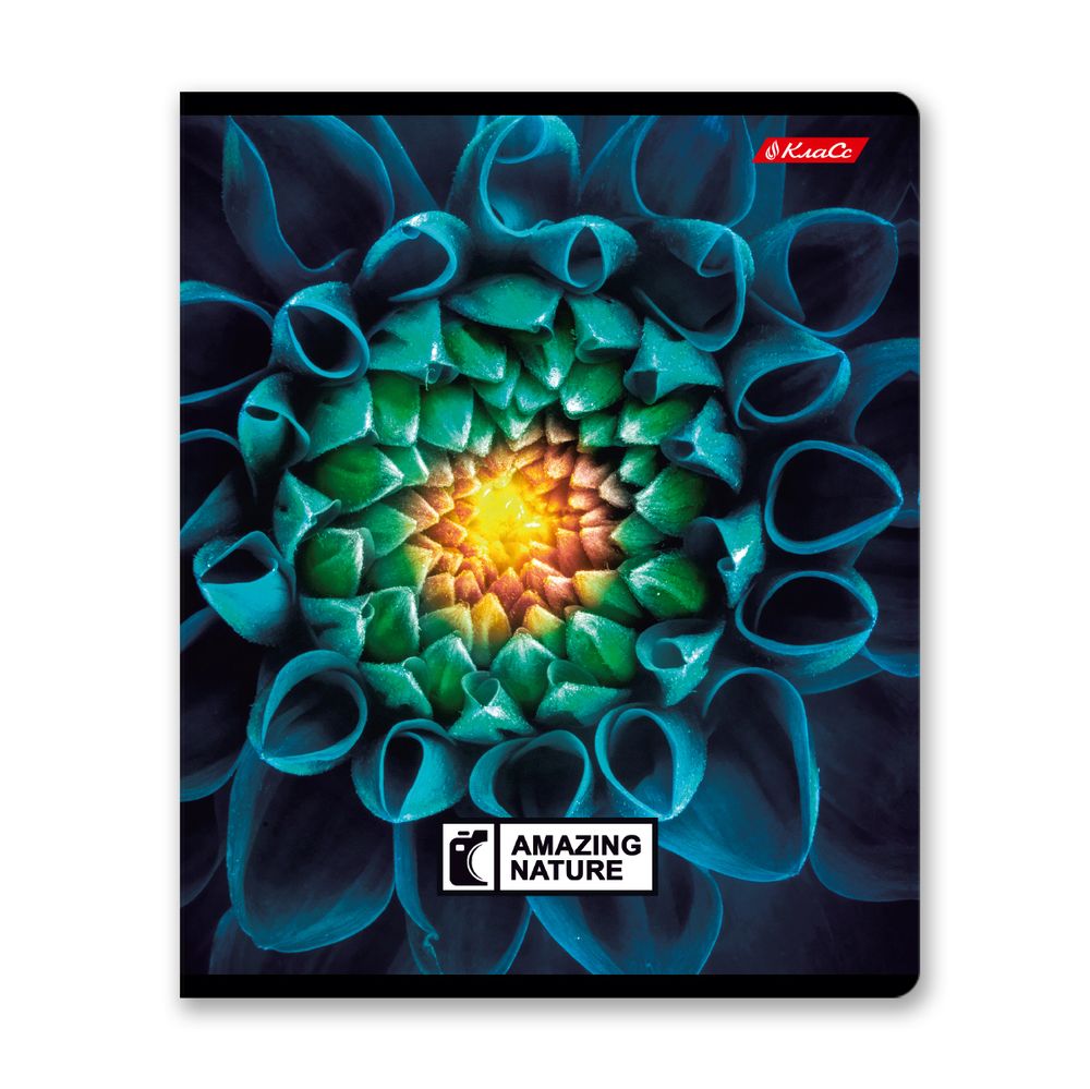 Тетрадь ученическая общая, твин лак, A5+ 60 л. на скобе 65 г/м², белизна 100%, 10 шт, клетка в термоусадочной пленке, 000477 Биосфера, Светоч 60ТСК5_8_2_1