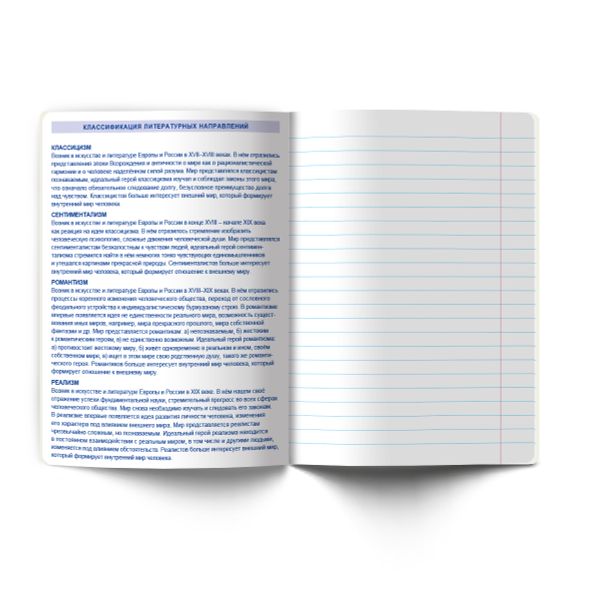 Тетрадь со справочным материалом Большая перемена, выбор.лак, A5 48 л. на скобе 65 г/м², белизна 100% 10 шт линия, 01821 Большая перемена Литература, Светоч Т281