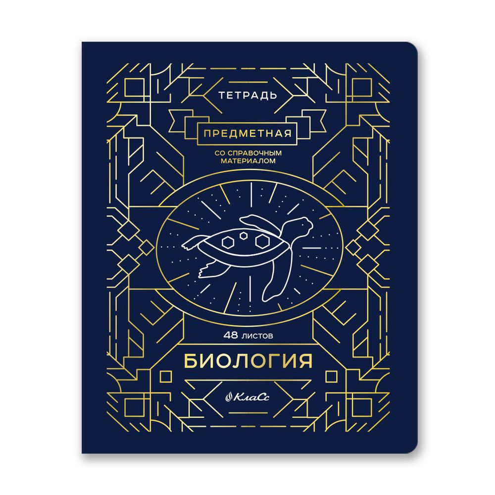 Комплект тетрадей со справочным материалом Линия успеха, софт тач ламинация + тиснение фольгой, A5+ 48 л. 12 шт, на скобе 65 г/м², белизна 100 %, клетка/линия, 01051 12 предметов, Светоч 48К35