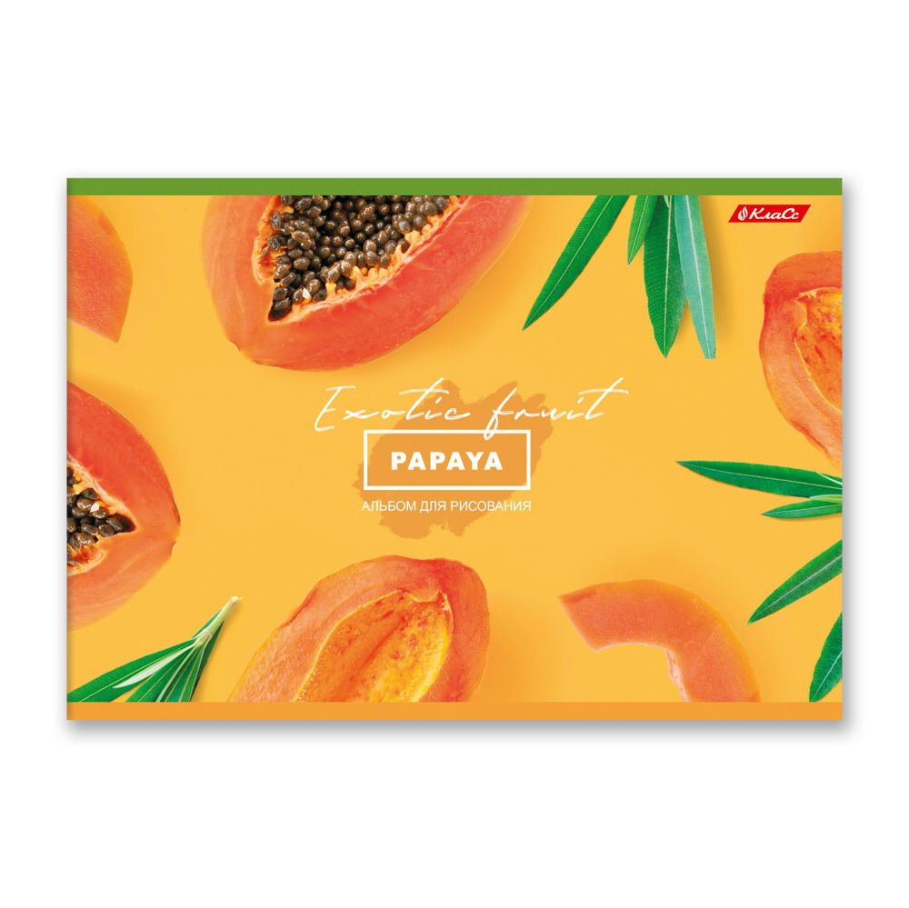 Альбом для рисования 100 г/м², A4 29х20.5 см, 48 л. на скобе, 5 шт, 000265 Сочный фрукт, Светоч 48АЛСК4_1_3_9