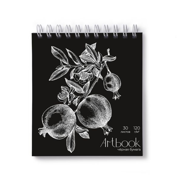 Артбук (Скетчбук), блок черный, жесткая подложка, 120 г/м², 166х175 мм, на гребне 30 л. 2 шт, Гранаты 01936, Светоч А306