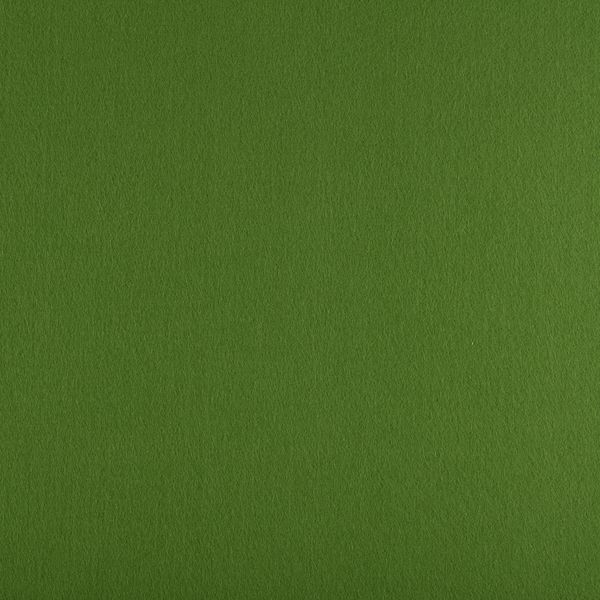 Фетр листовой жесткий 1.2 мм, 33х53 см, 865 св.зеленый, Gamma FKS12-33/53
