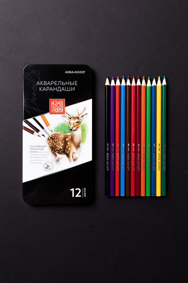 Карандаш акварельный в наборе заточенный 2х12 цв, в металлической коробке, Аква-колор