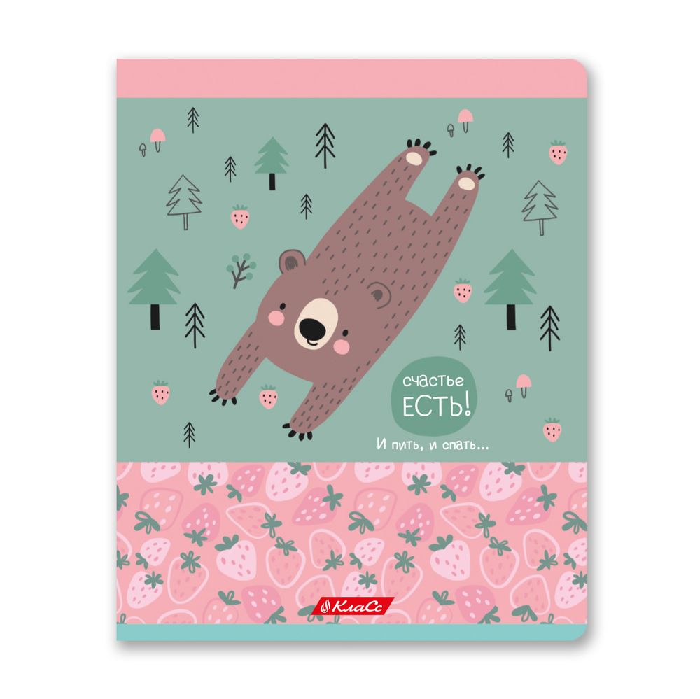 Тетрадь ученическая общая, A5+ 48 л. на скобе, белизна 100%, 10 шт, клетка, 000317 Почилим!, Светоч 48ТСК5_3_1