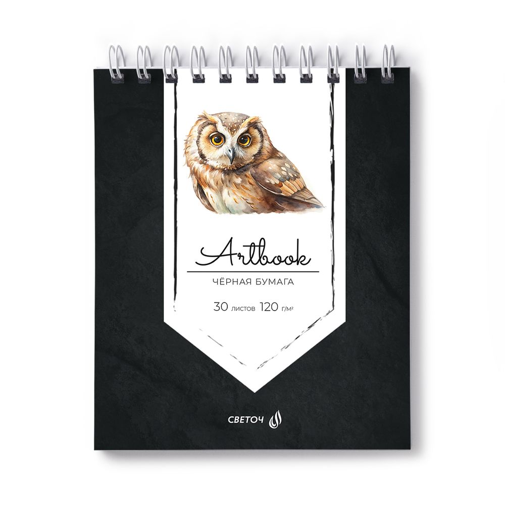 Артбук (скетчбук), блок черный, жесткая подложка, 120 г/м², 175х200 мм, на гребне 30 л. 2 шт, Сова 01945, Светоч А307