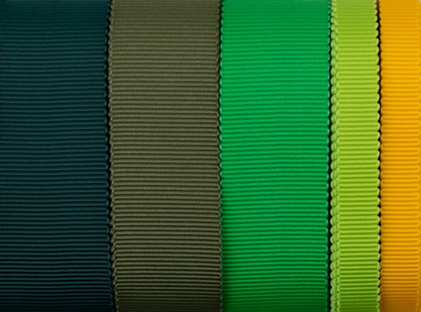 Набор репсовых лент 10 и 25 мм, 5 шт по 5 метров, ассорти №4, Gamma PTGRSC-5 Mix