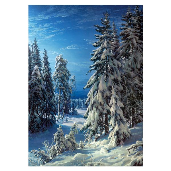 Пазл. Премиальная коллекция 2000 элементов, TOP-PZL-2000/03 Зимняя ночь, Фрея