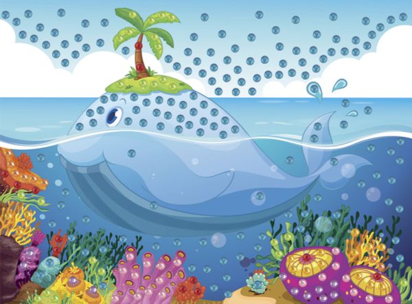 Hobbius, Кит, 19.5х26.5 см