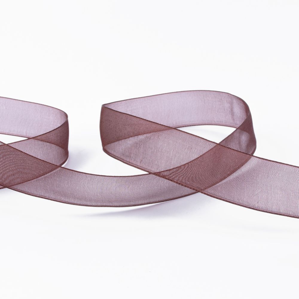 Лента капроновая (органза) 20.0 мм / 22.8±1 метра, 110 т. коричневый, Blitz OR-20