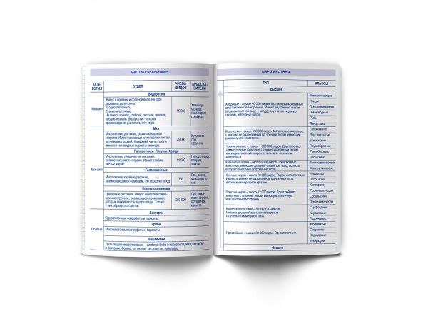 Тетрадь со справочным материалом АниМания, выборочный лак, A5+ 48 л. на скобе 65 г/м², белизна 100%, 10 шт, клетка, 000560 Биология, Светоч 48ТПСКа5_4_2_1