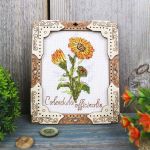 Набор для вышивания нитками МП Студия, на деревянной основе Миниатюра. Календула 13х11см