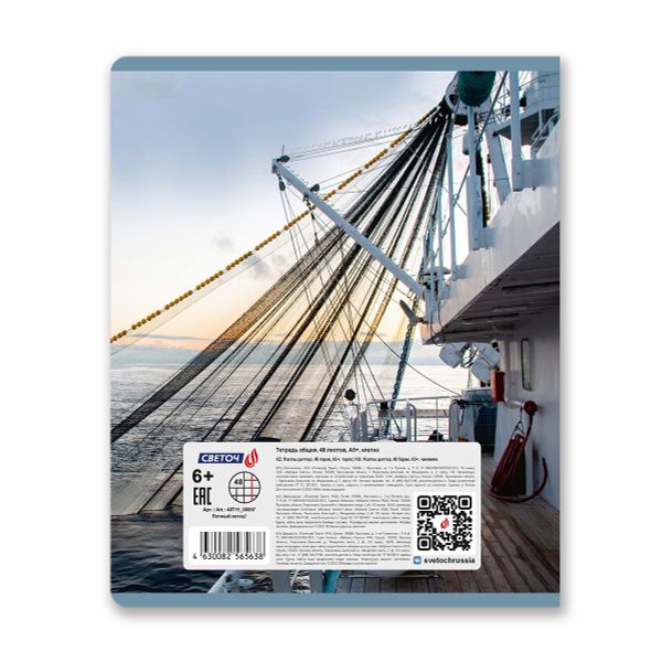 Тетрадь ученическая общая, глянцевая ламинация, A5+ 48 л. на скобе 65 г/м², белизна 100 %, 10 шт, клетка, 00997 Полный котец!, Светоч 48Т11