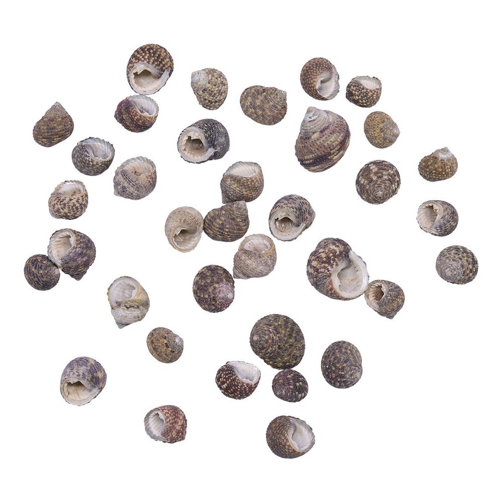 Ракушки декоративные 100гр, 2AR122
