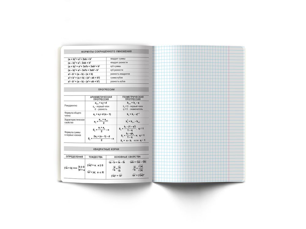 Комплект тетрадей со справочным материалом Время действовать, твин лак, A5+ 48 л. 12 шт, на скобе 65 г/м², белизна 100 %, клетка/линия, 01055 12 предметов, Светоч 48К39