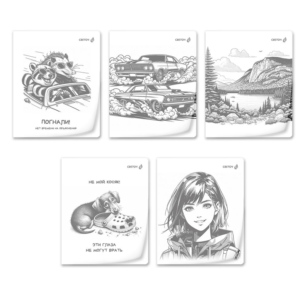 Тетрадь общая с пластик.обложкой 180 мкм, ч/б запечат. титульн.лист, A5 48 л. на скобе 65 г/м², белизна 100% 10 шт клетка, 01495 МИКС - Чёрно-белый мир, Светоч Т196