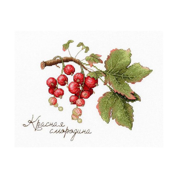 Набор для вышивания нитками МП Студия, Дары природы. Красная смородина 15х20см