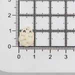 Украшение 10х14 (белый), CON2518, 10 шт