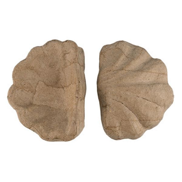 Заготовка из папье-маше Ракушка, 8.3х6.3х2.5 см, 2 шт, PAM-106 Love2art