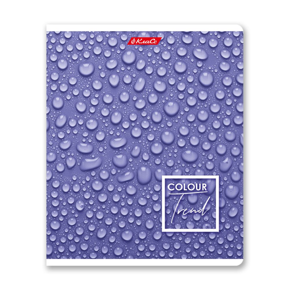 Тетрадь ученическая общая A5+ 48 л. на скобе, белизна 100%, 10 шт, клетка, 000308 Черничный рай, Светоч 48ТСК5_1_3_1