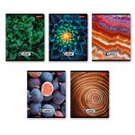 Тетрадь ученическая общая, твин лак, A5+ 60 л. на скобе 65 г/м², белизна 100%, 10 шт, клетка в термоусадочной пленке, 000477 Биосфера, Светоч 60ТСК5_8_2_1