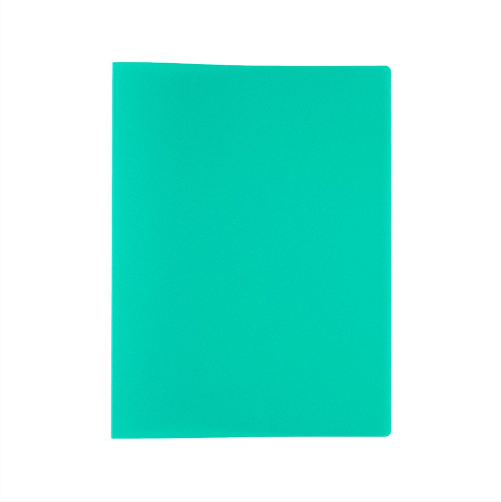 Папка с вкладышами 10 л. A4 500 мкм 15 мм, песок, 6 шт, зеленый EC212016003, Expert Complete EC212016003