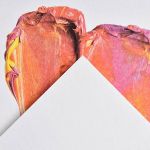 Альбом для акрила и масла Graduate 290 г/м², A4 21х27.9 см, склейка с одной стороны в полиэтиленовой пленке 20 л, Canson C400110380