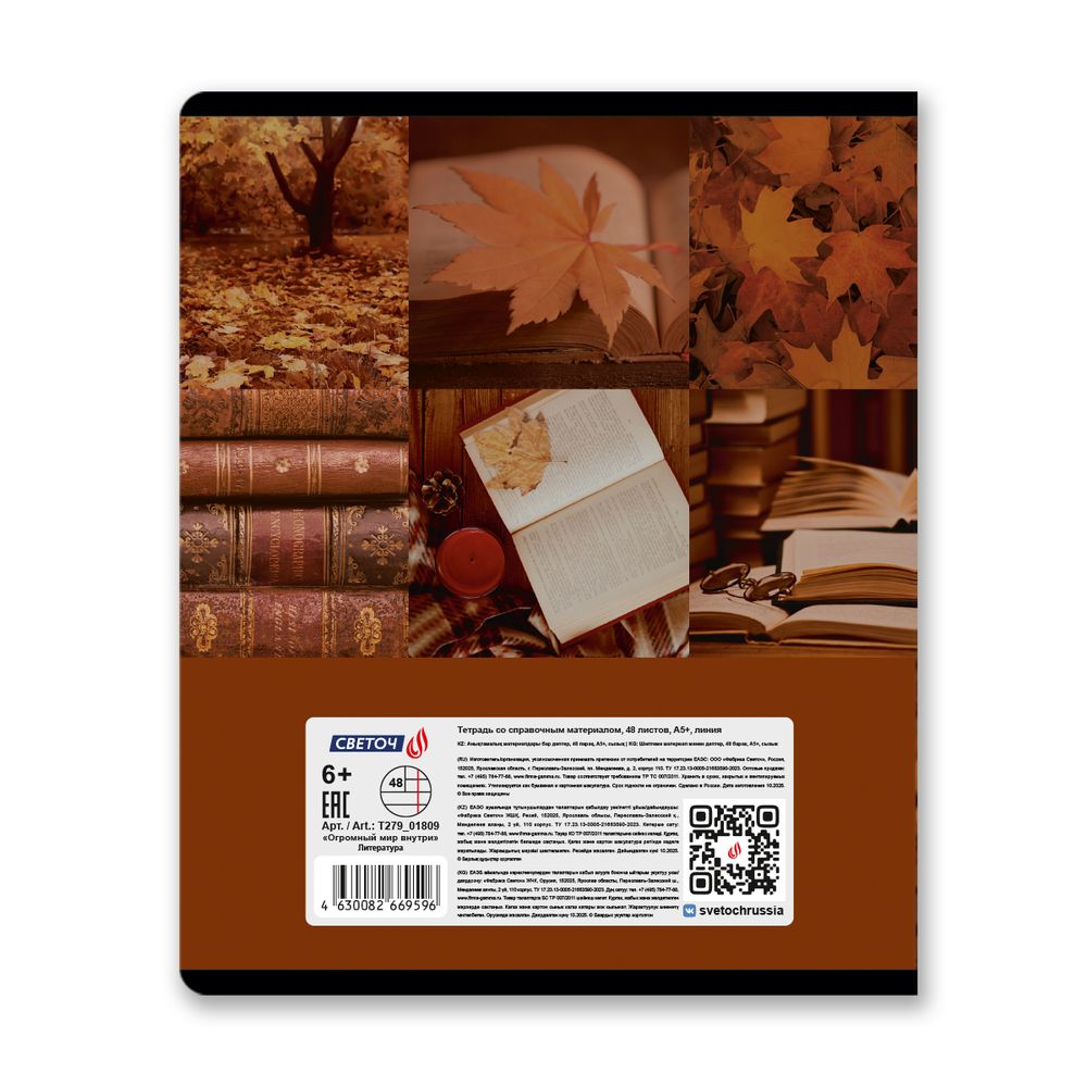 Тетрадь со справочным материалом Огромный мир внутри, A5 48 л. на скобе 60 г/м², белизна 90% 10 шт линия, 01809 Огромный мир внутри Литература, Светоч Т279