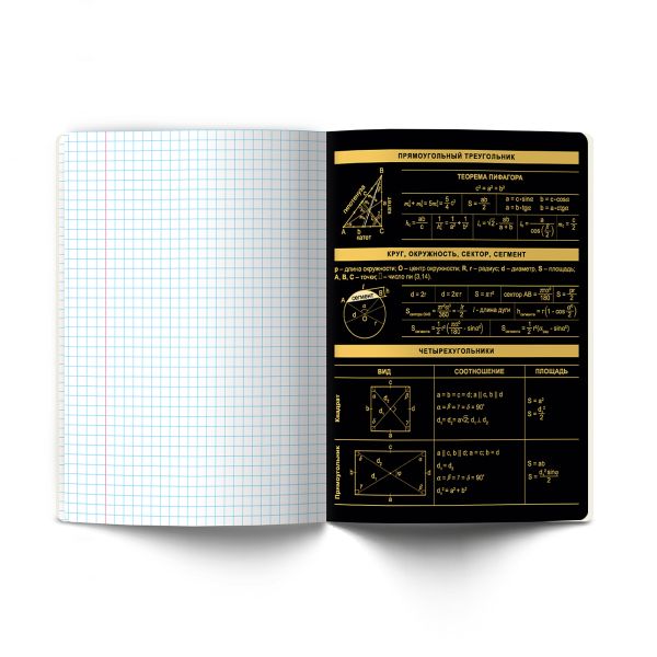 Тетрадь со справочным материалом Золотая коллекция, тиснение золотой фольгой, A5+ 48 л. на скобе 65 г/м², белизна 100 %, 10 шт, клетка, 01326 Золотая коллекция Геометрия, Светоч Т145