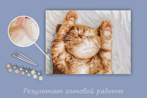 Картина по номерам Фрея PNB/PM-243, Сладкий сон котика, 40х30 см